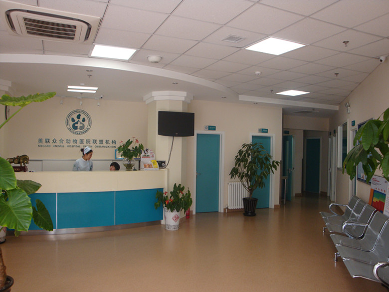 北京宠物医院装修
